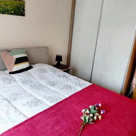 Sonja Златибор