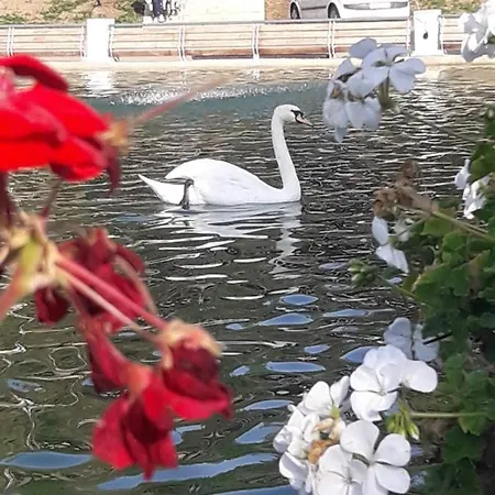 Sonja Ζλάτιμπορ