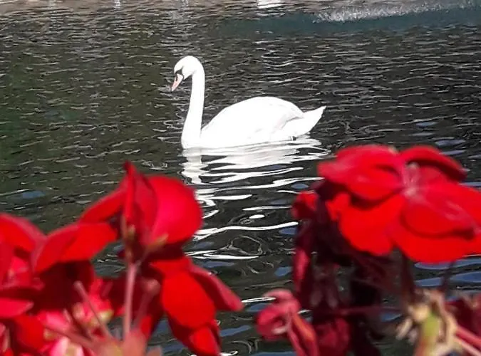 Sonja Апартаменты *