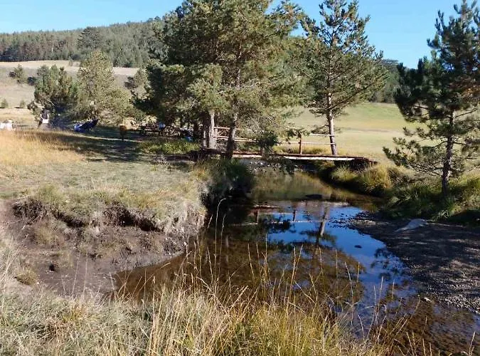 Sonja Златибор